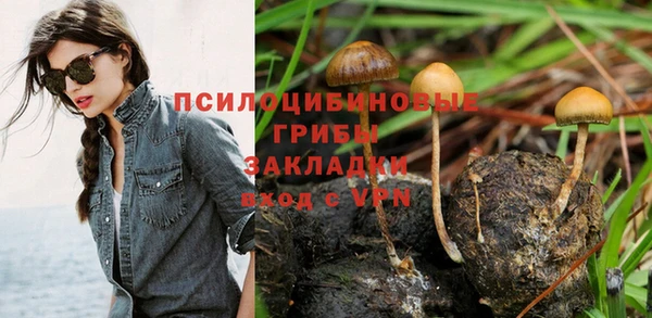 дурь Аркадак