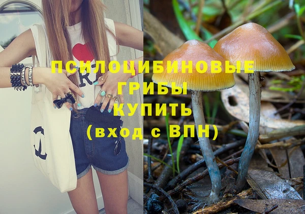 2c-b Арсеньев
